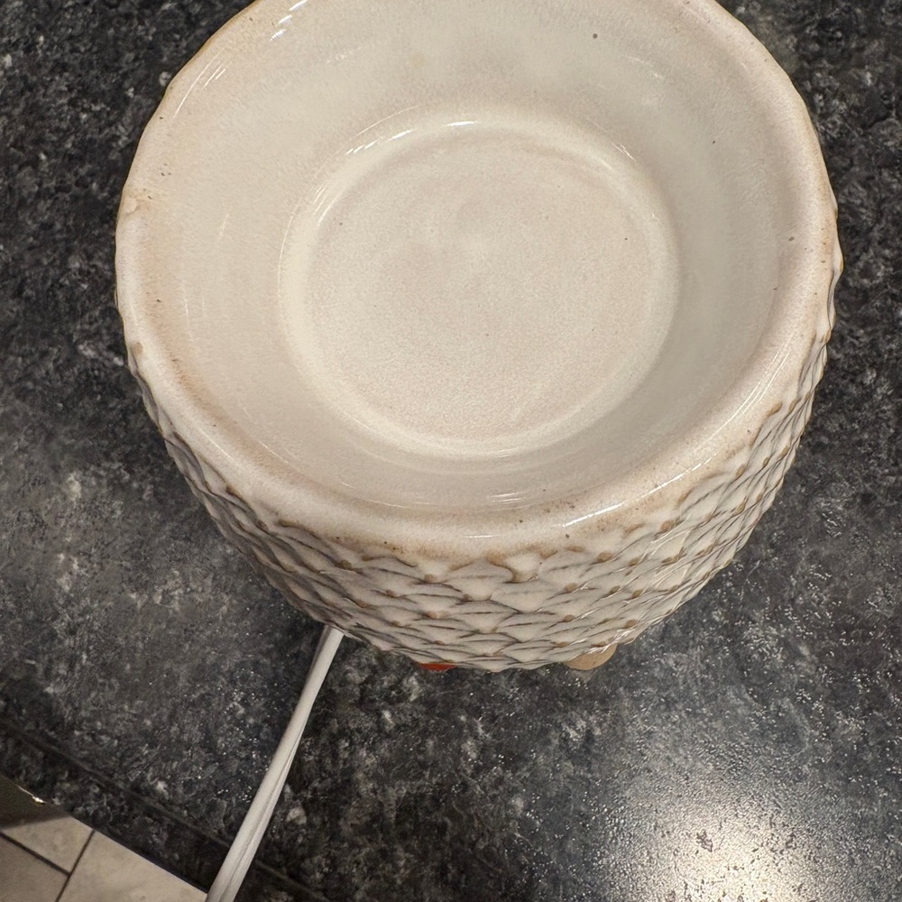 Take A Stand Scentsy Warmer - Picture 3 of 5